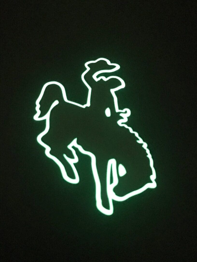 Wyoming Cowboy image 1
