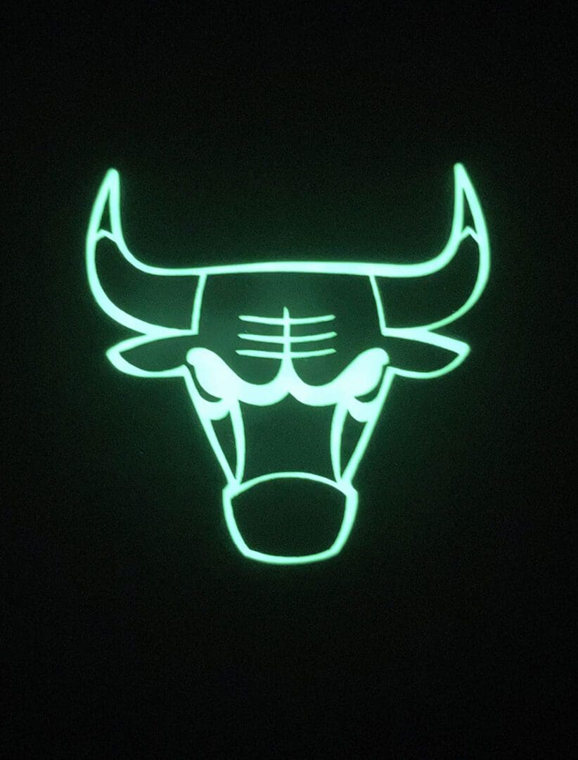 Bull image 1