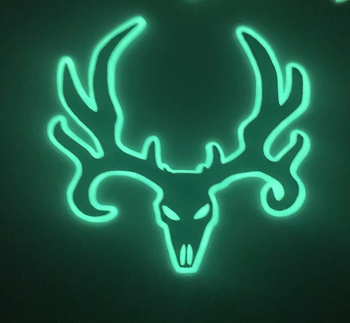 Mule Deer Skull image 1