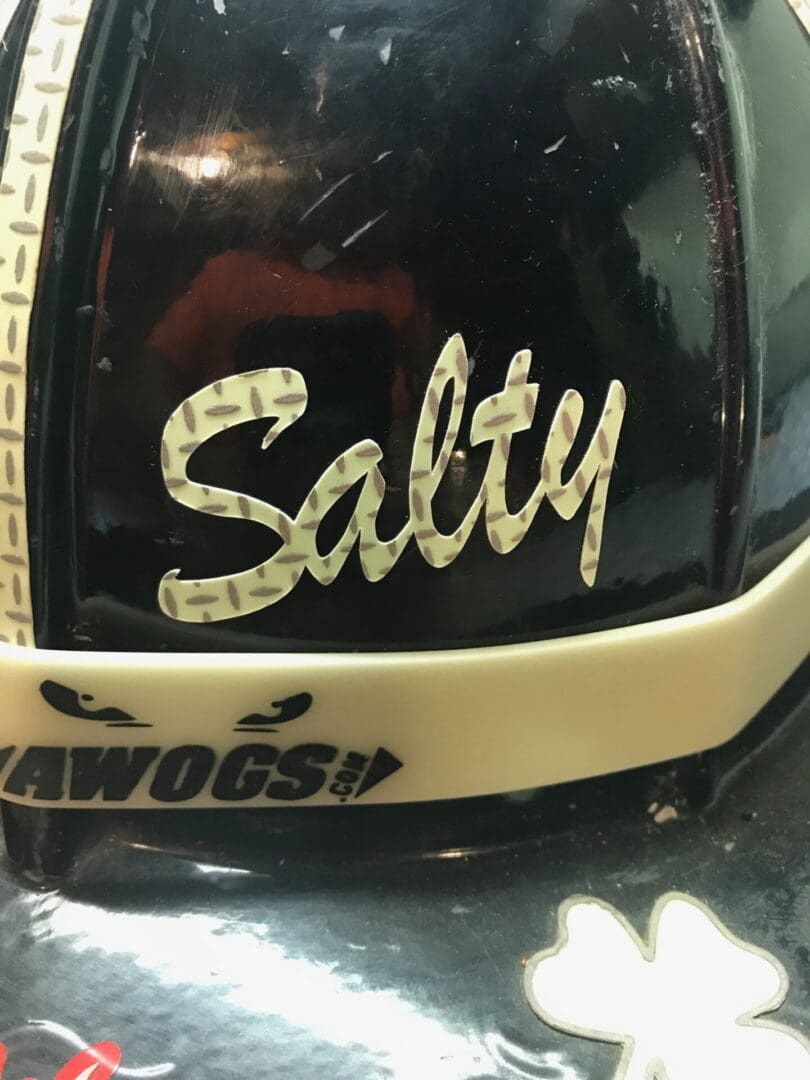 SALTY image 2