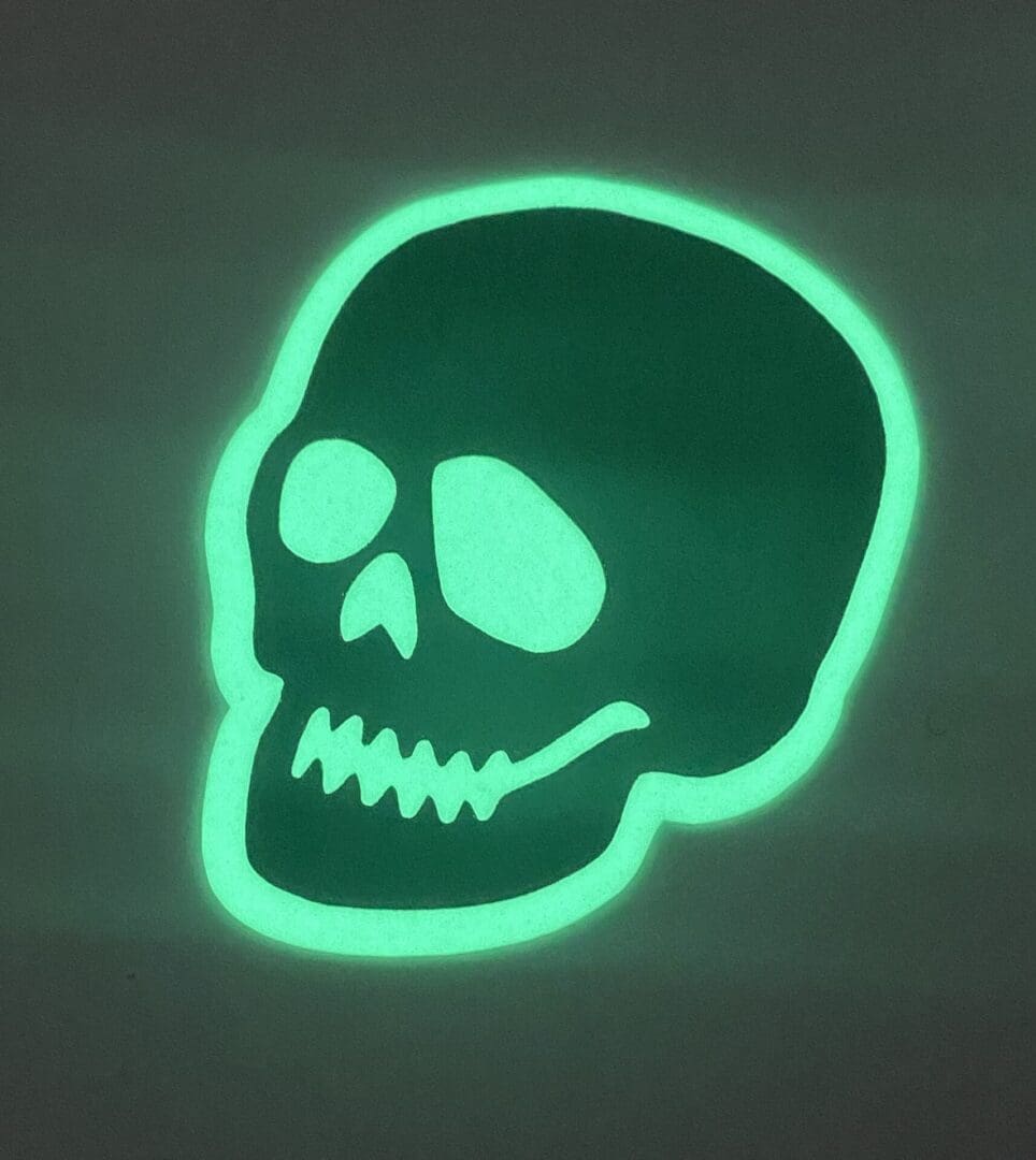 Skull image 1
