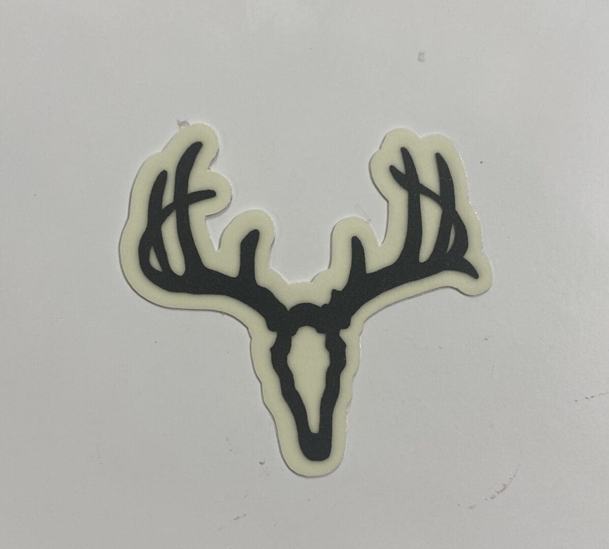 Whitetail Skull image 1