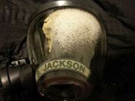 Scotts Facemask Identifier image 3