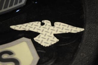 American Eagle image 0