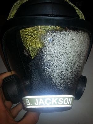 Scotts Facemask Identifier image 4