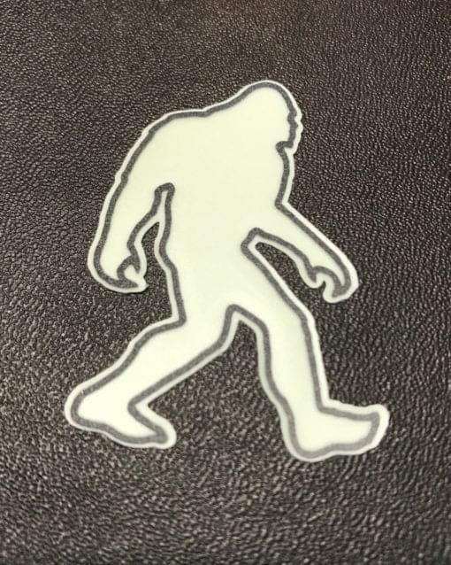 BIGFOOT image 0