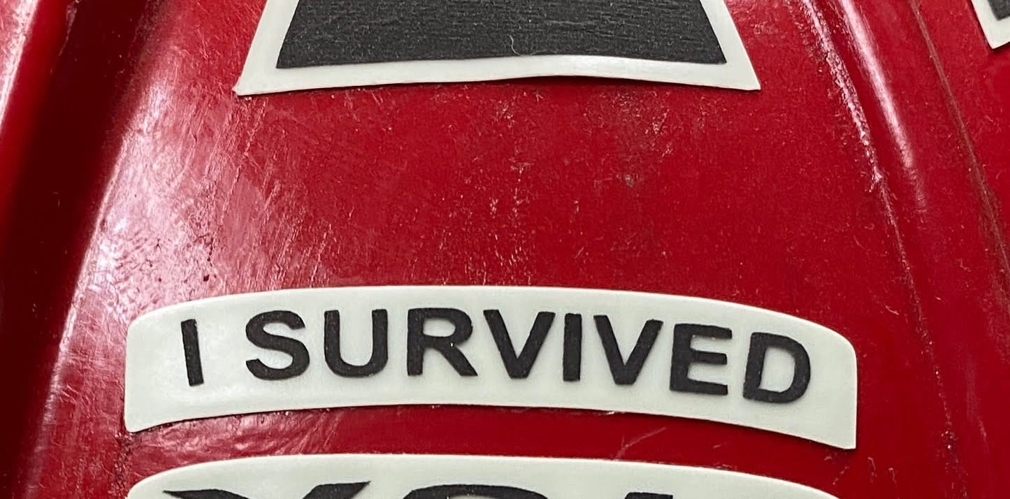 I SURVIVED image 1