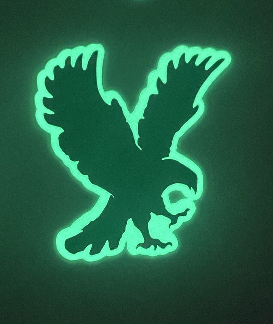 Flying Eagle image 1
